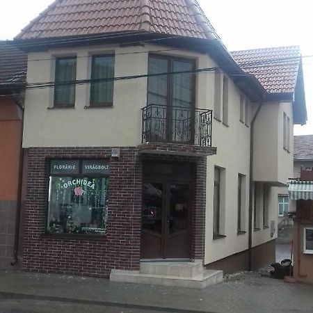 Casa Claudia Hotel Sangeorgiu de Padure Buitenkant foto